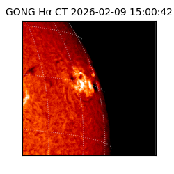 gong - 2026-02-09T15:00:42