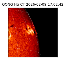 gong - 2026-02-09T17:02:42