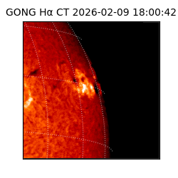 gong - 2026-02-09T18:00:42