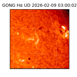 gong - 2026-02-09T03:00:02