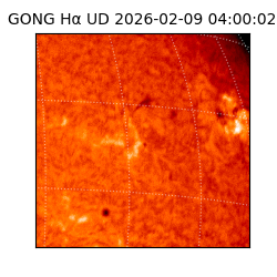 gong - 2026-02-09T04:00:02