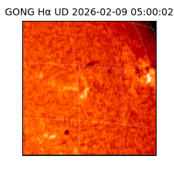 gong - 2026-02-09T05:00:02