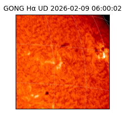 gong - 2026-02-09T06:00:02