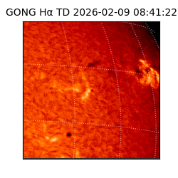 gong - 2026-02-09T08:41:22