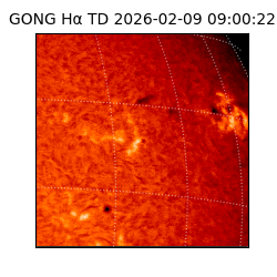 gong - 2026-02-09T09:00:22