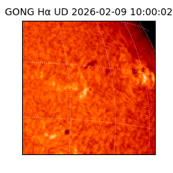gong - 2026-02-09T10:00:02