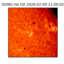 gong - 2026-02-09T11:00:02