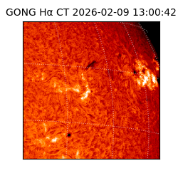 gong - 2026-02-09T13:00:42