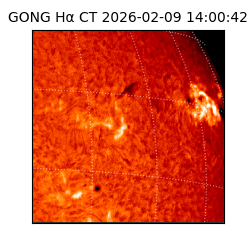 gong - 2026-02-09T14:00:42