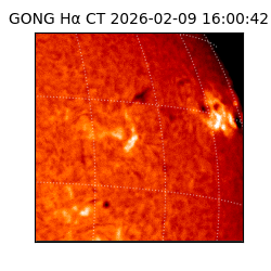 gong - 2026-02-09T16:00:42