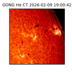 gong - 2026-02-09T19:00:42