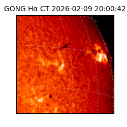 gong - 2026-02-09T20:00:42