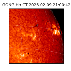 gong - 2026-02-09T21:00:42