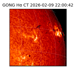 gong - 2026-02-09T22:00:42
