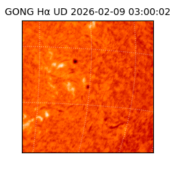 gong - 2026-02-09T03:00:02