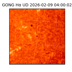 gong - 2026-02-09T04:00:02