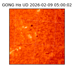 gong - 2026-02-09T05:00:02