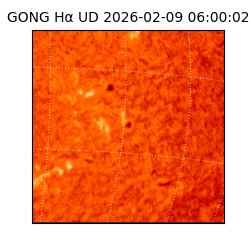 gong - 2026-02-09T06:00:02
