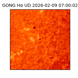 gong - 2026-02-09T07:00:02