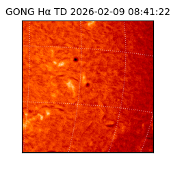 gong - 2026-02-09T08:41:22