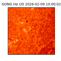 gong - 2026-02-09T10:00:02