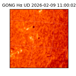 gong - 2026-02-09T11:00:02