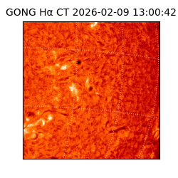 gong - 2026-02-09T13:00:42