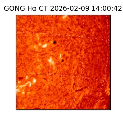 gong - 2026-02-09T14:00:42