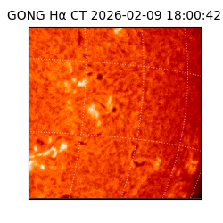 gong - 2026-02-09T18:00:42