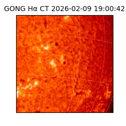 gong - 2026-02-09T19:00:42