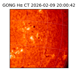 gong - 2026-02-09T20:00:42