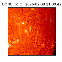 gong - 2026-02-09T21:00:42