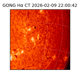 gong - 2026-02-09T22:00:42