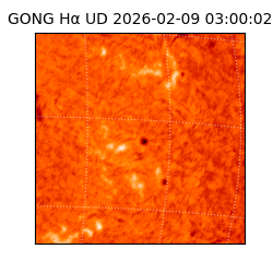 gong - 2026-02-09T03:00:02