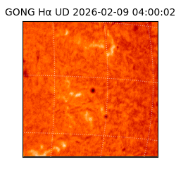 gong - 2026-02-09T04:00:02