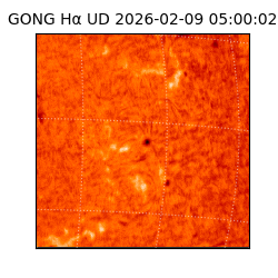 gong - 2026-02-09T05:00:02