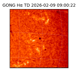 gong - 2026-02-09T09:00:22