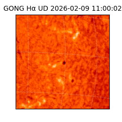 gong - 2026-02-09T11:00:02