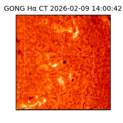 gong - 2026-02-09T14:00:42