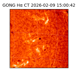 gong - 2026-02-09T15:00:42