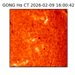 gong - 2026-02-09T16:00:42