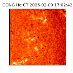 gong - 2026-02-09T17:02:42