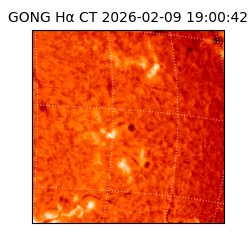 gong - 2026-02-09T19:00:42
