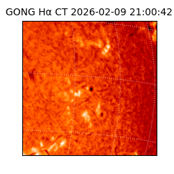 gong - 2026-02-09T21:00:42