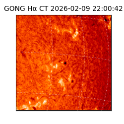 gong - 2026-02-09T22:00:42