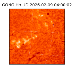 gong - 2026-02-09T04:00:02