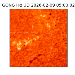 gong - 2026-02-09T05:00:02