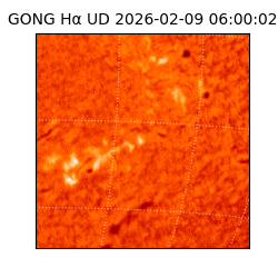 gong - 2026-02-09T06:00:02