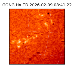 gong - 2026-02-09T08:41:22