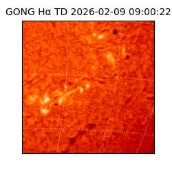 gong - 2026-02-09T09:00:22